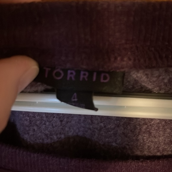 Size 4 torrid crew neck sweater - Picture 2 of 4
